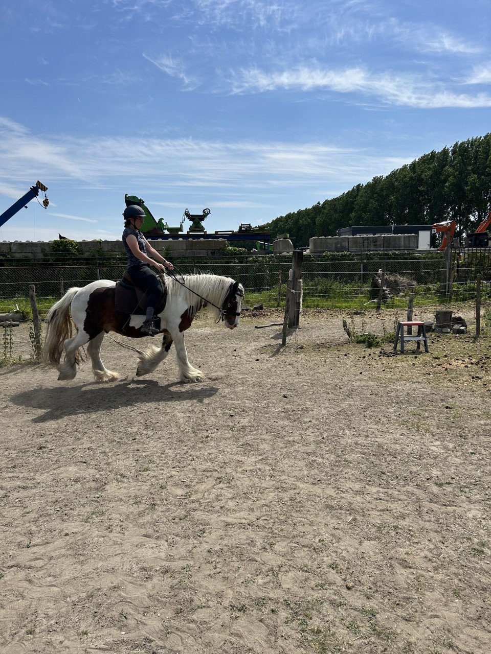 # Equi Pride # grondwerk, NH, rijden, gedrag etc.