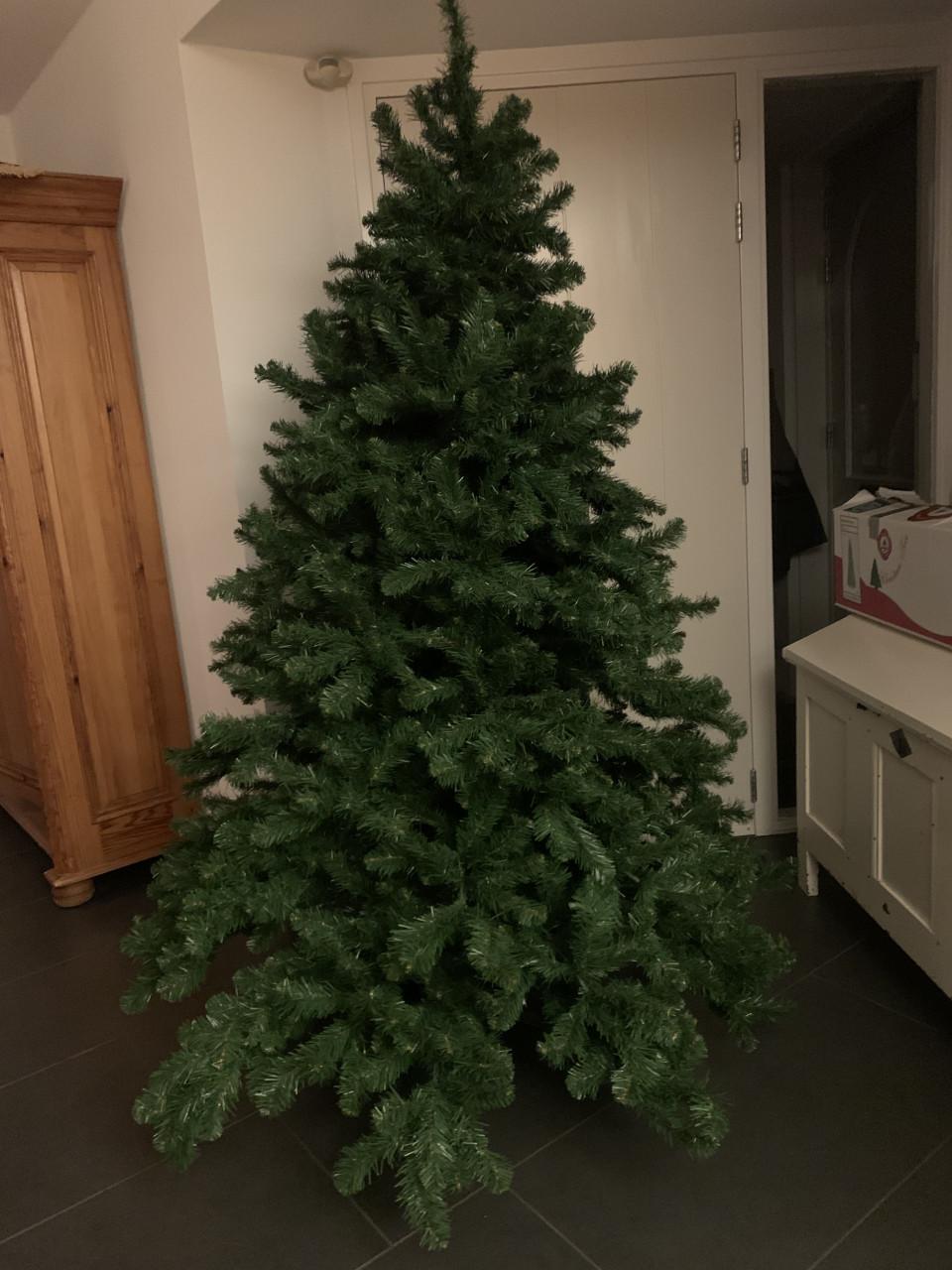 Kerstboom    2.10. M hoog triumph tree
