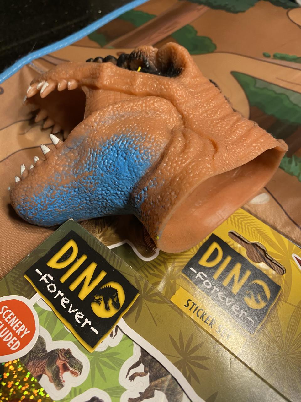 Dinosaurussen incl opberg bak met speelmat