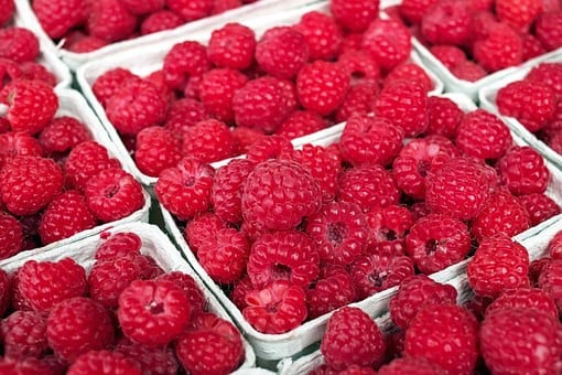 Verse biologische groente/fruit/kruiden/bloemen