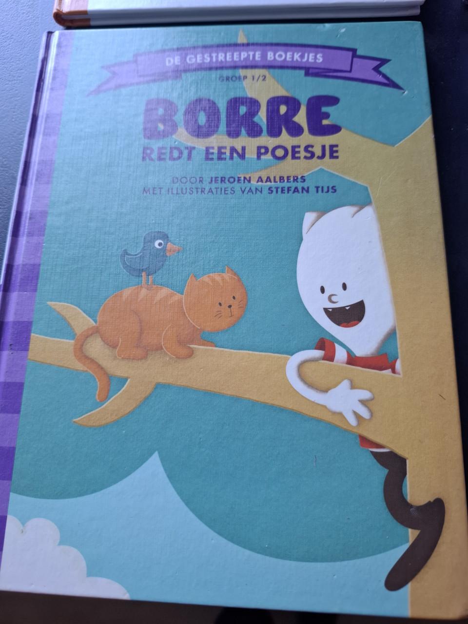 Set 12 Borre boekjes