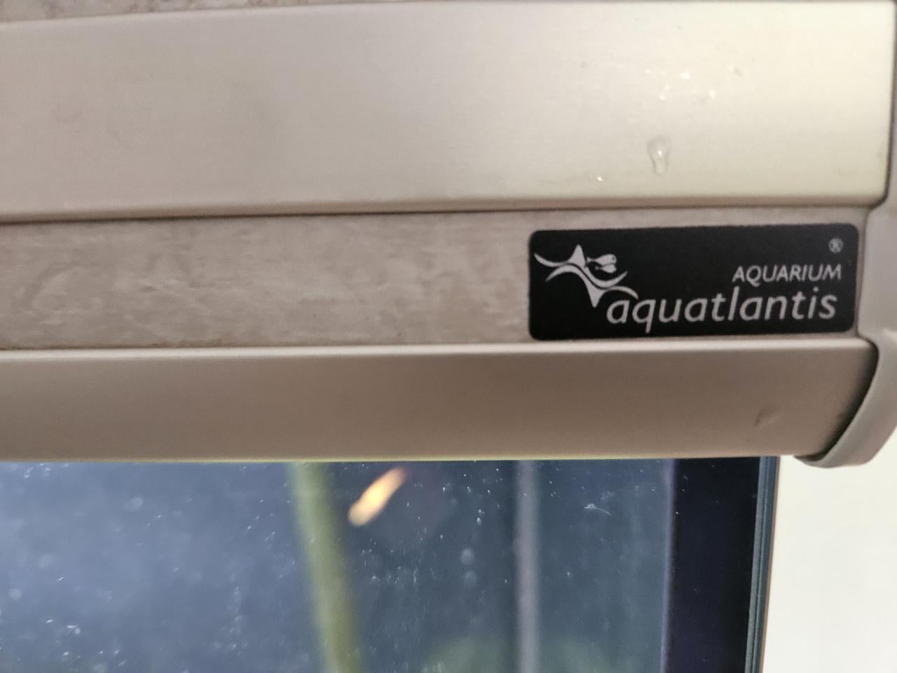 Aquarium 240l incl extern filter en CO2