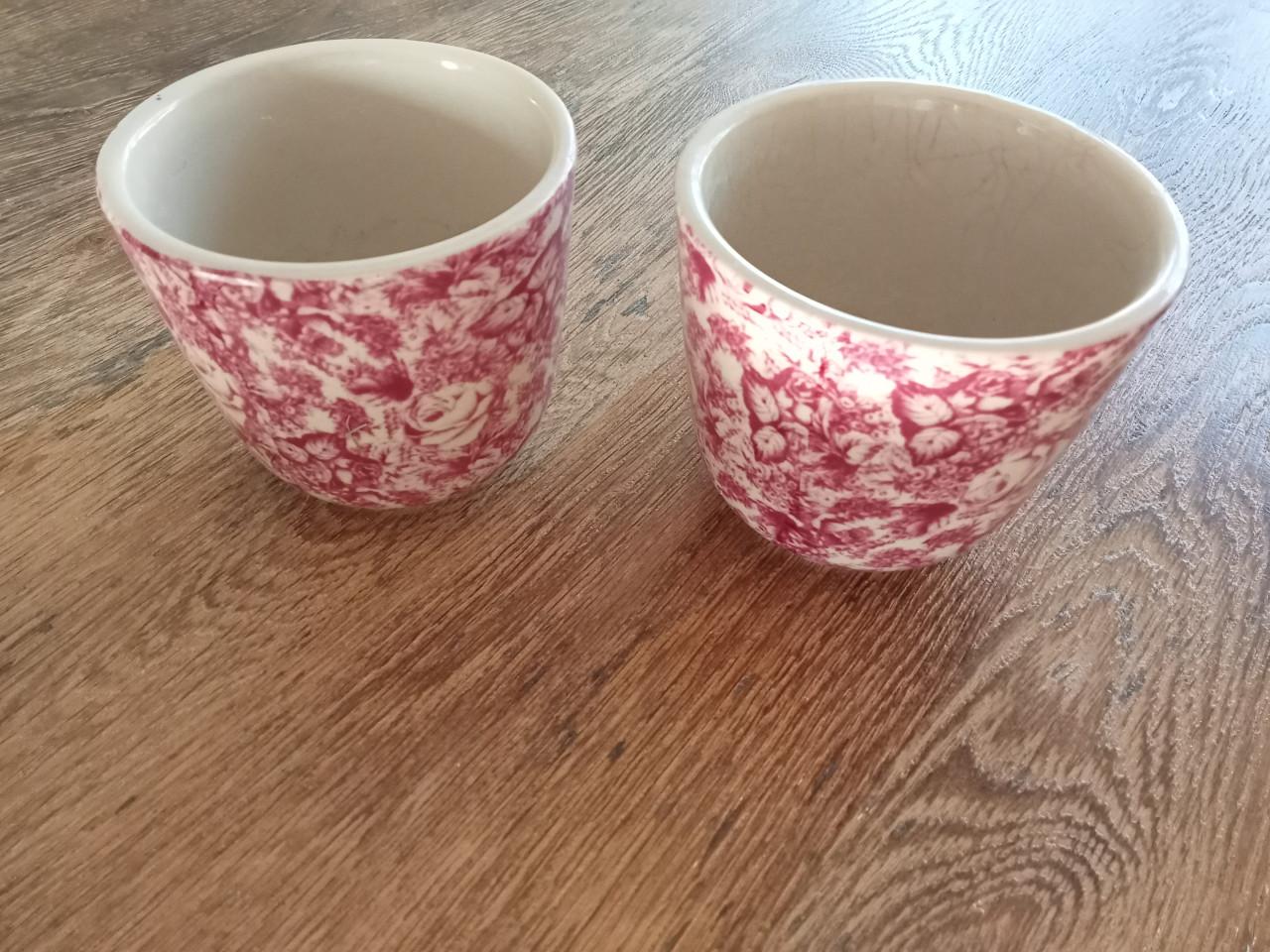 Gratis twee bloempotjes