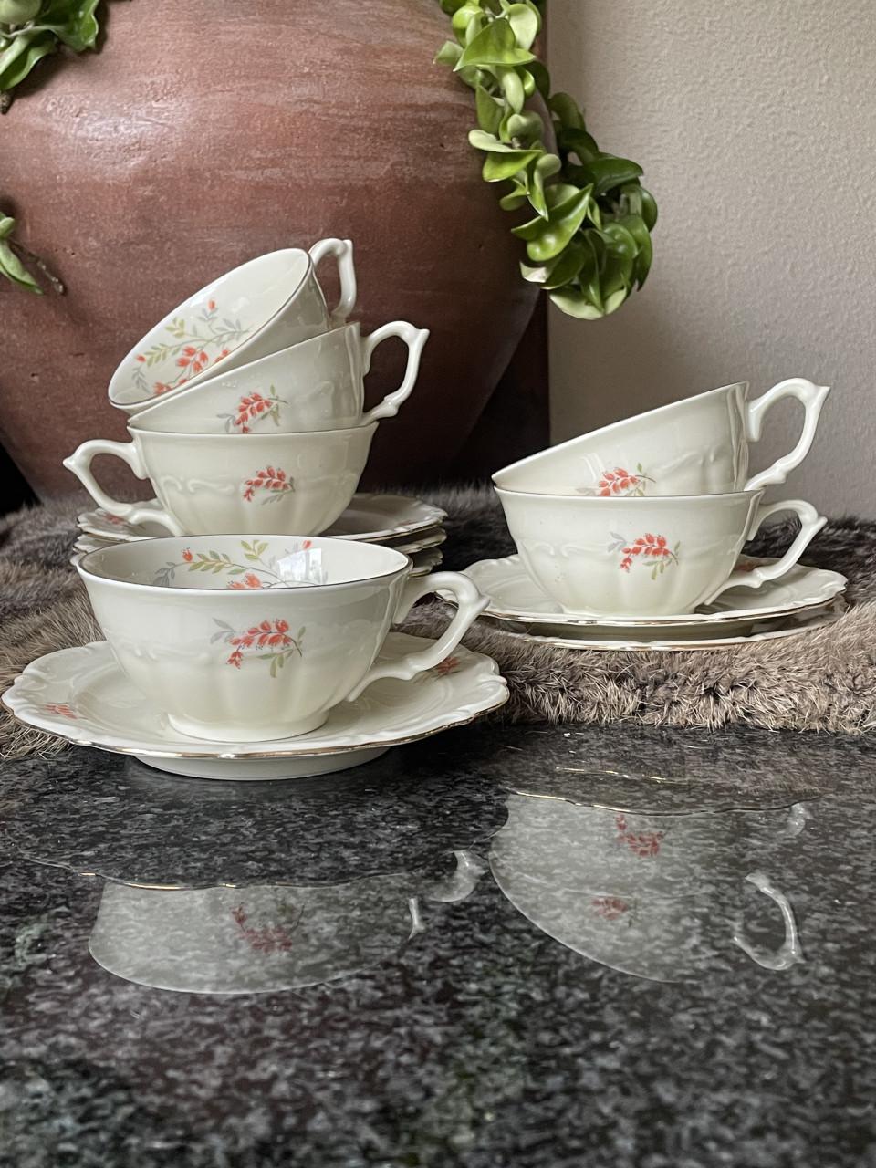 Tielsch-Altwasser kop en schotels Germany(41)