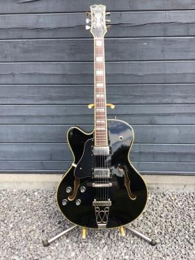 Gitaar linkshandige archtop Samick HF650