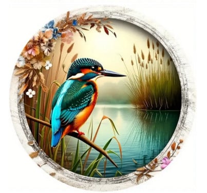 Jagende ijsvogel ( op aluminium - nieuw ) decoratie / cadeau