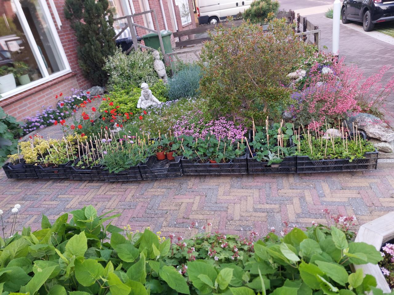 EEN NIEUW SEIZOEN: SIERTUIN en MOESTUIN PLANTEN BIJ DE VOORDEUR