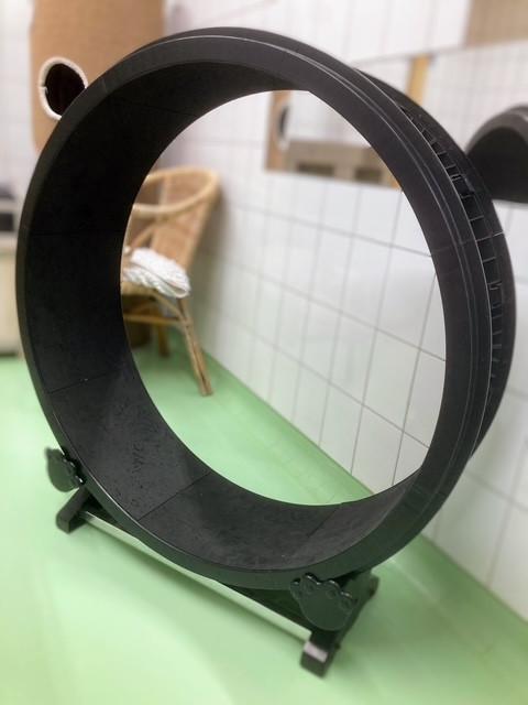 Katten loopwiel van petluxe