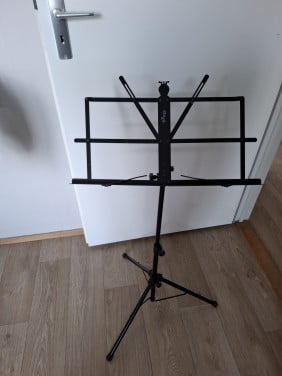 Muziek standaard