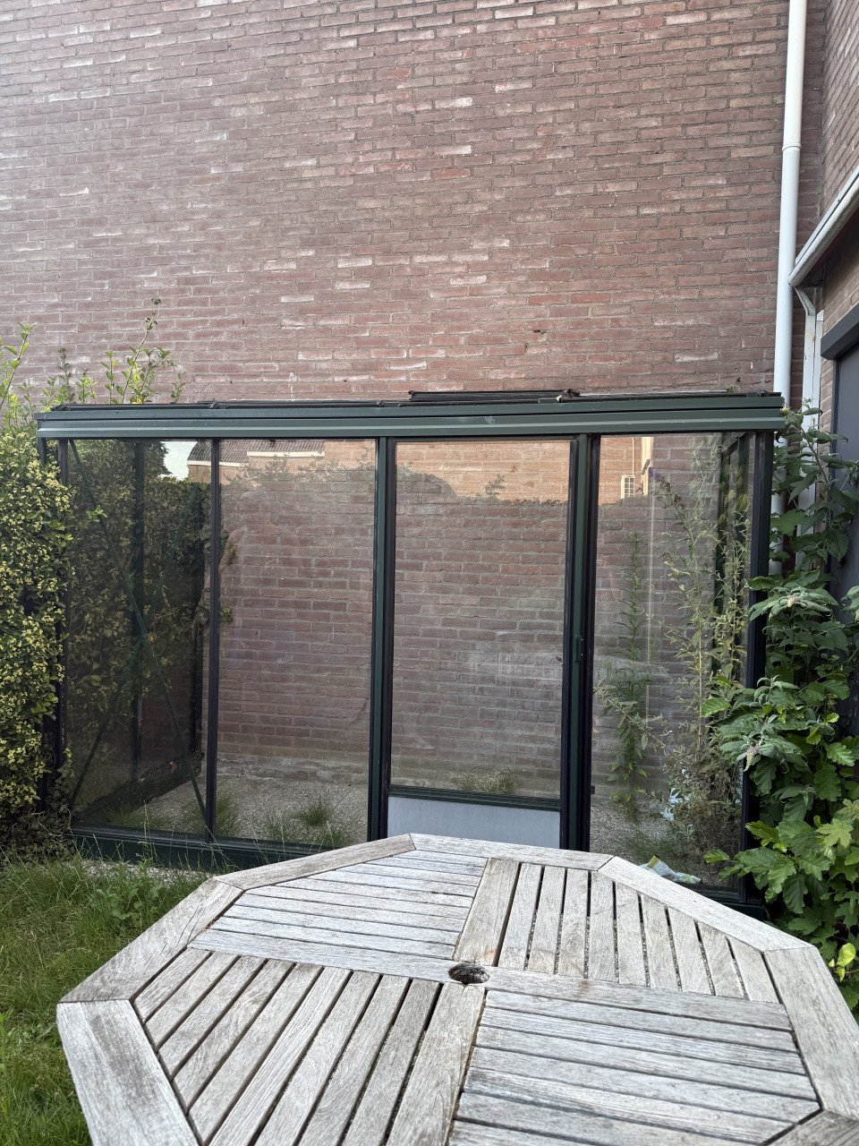 Mooie muurkas