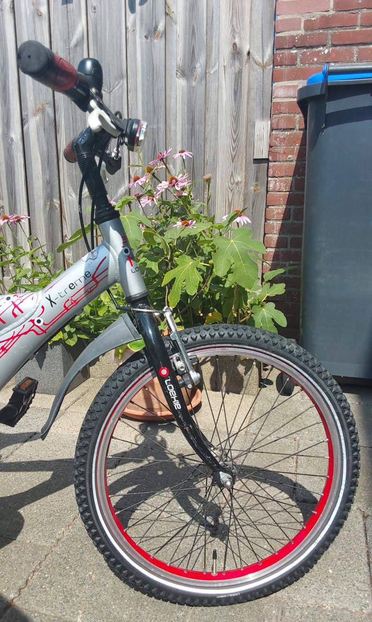 16 inch fiets van het merk Loekie