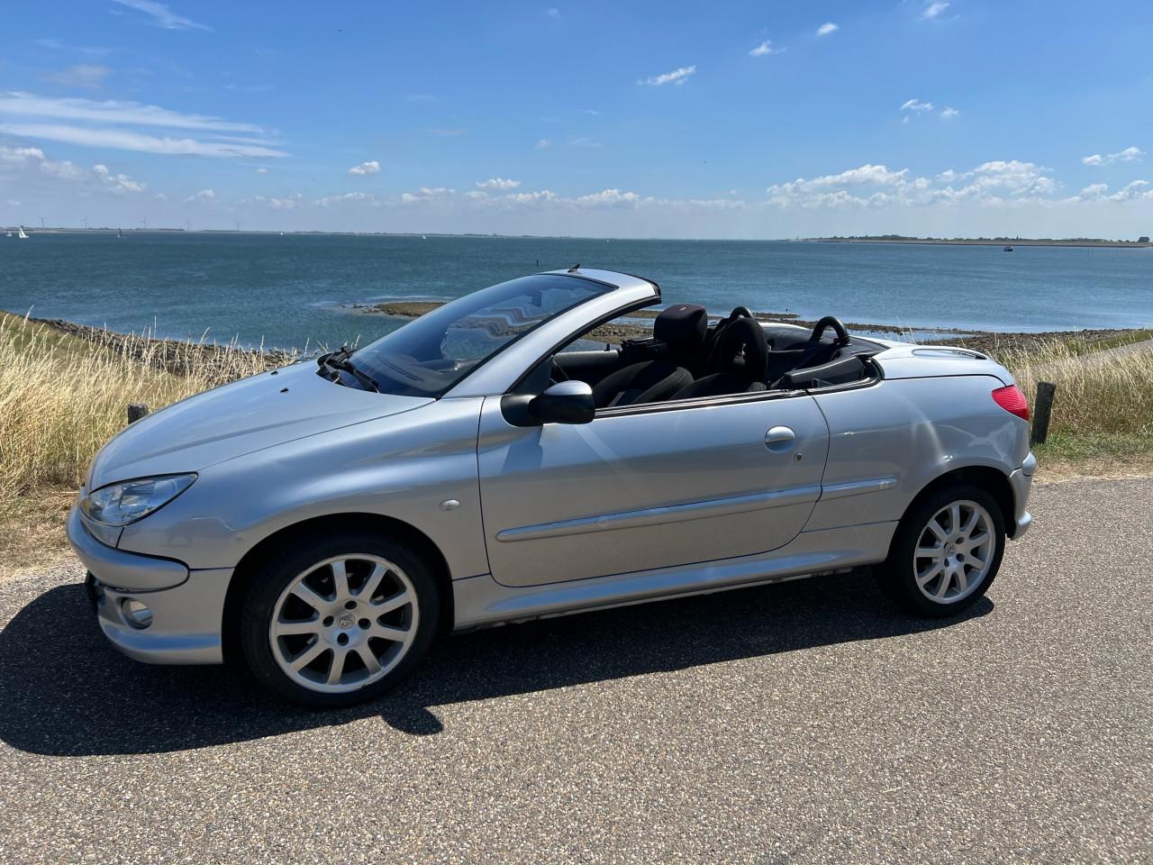 Peugeot 206CC Cabrio in metallic grijs