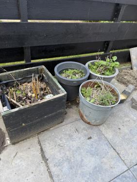 Gratis bloempotten