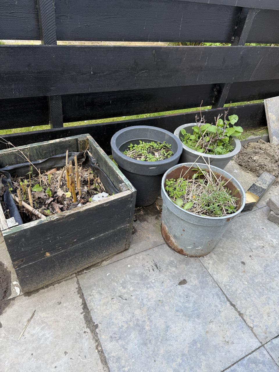 Gratis bloempotten