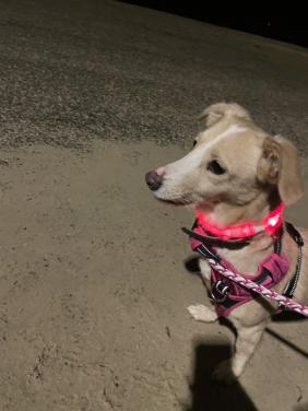 Terra zoekt een passend thuis