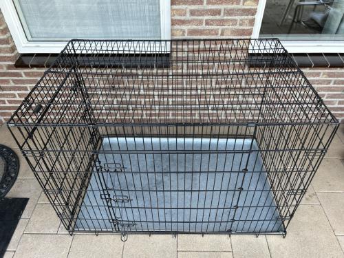 Bench grote hond