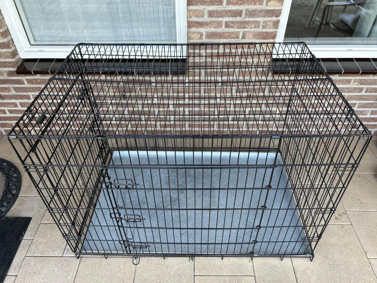 Bench grote hond