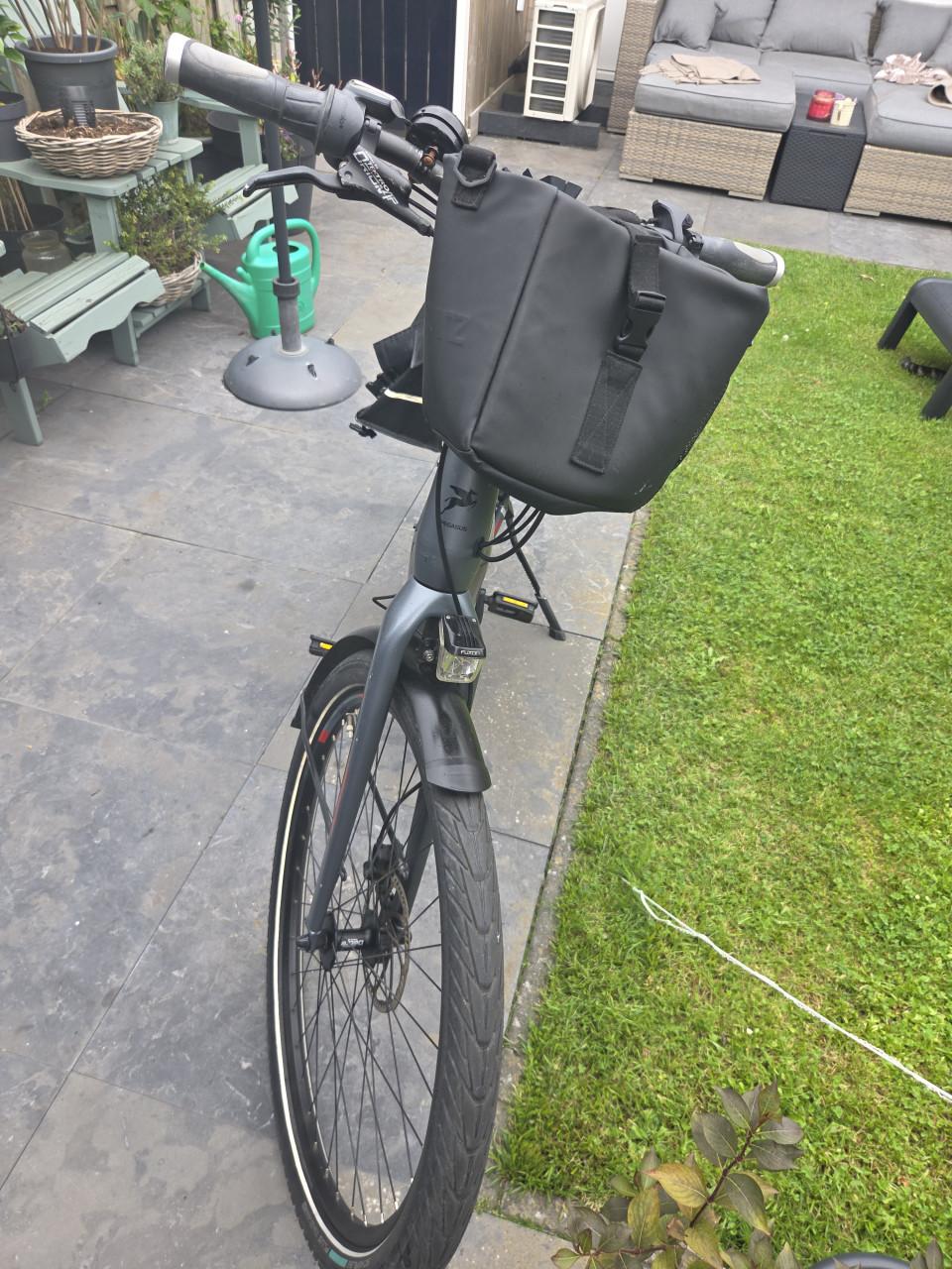 Pegasus Tecaro EVO belt drive e-bike