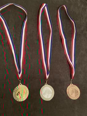 Medailles voor paardensportdag