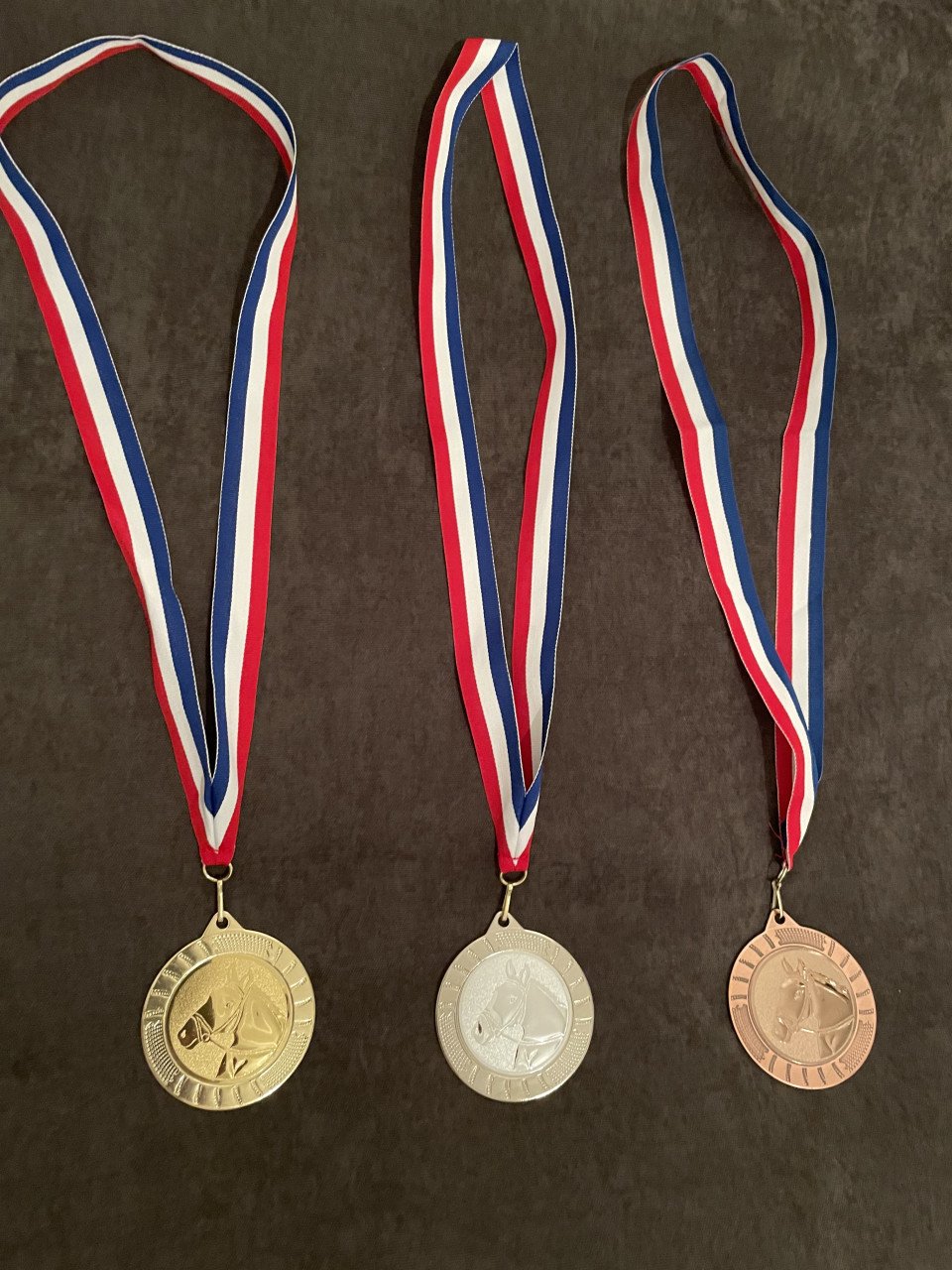 Medailles voor paardensportdag
