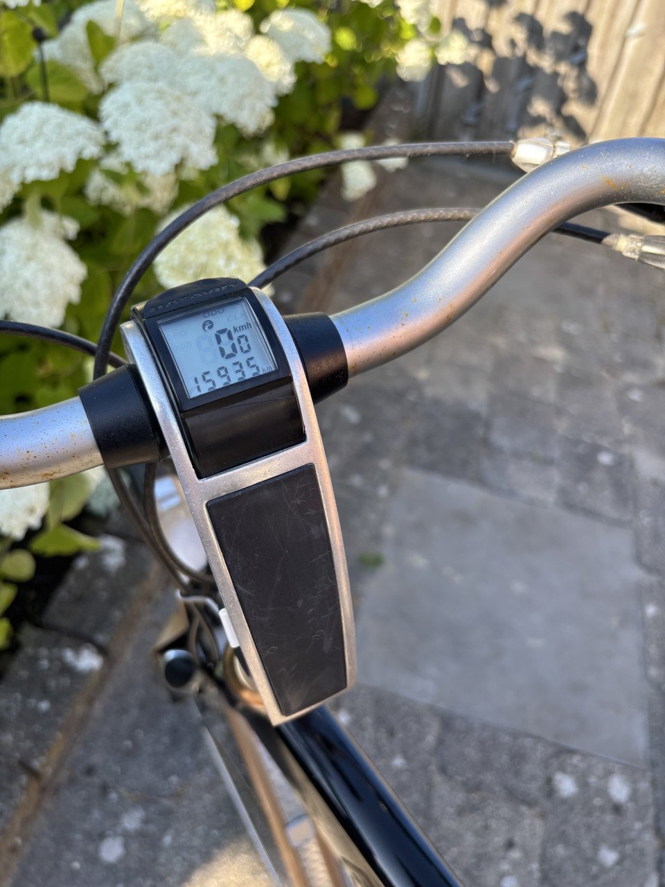 Batavus Cantate herenfiets - Groot frame