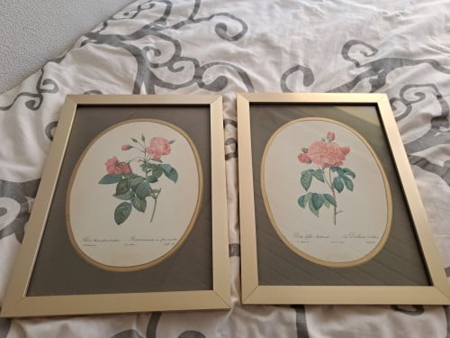 Twee Botanische afbeeldingen