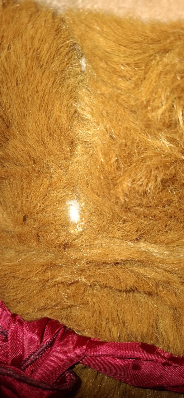 Grote teddybeer