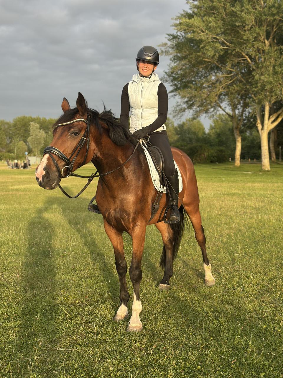 Knappe 5 jarige merrie