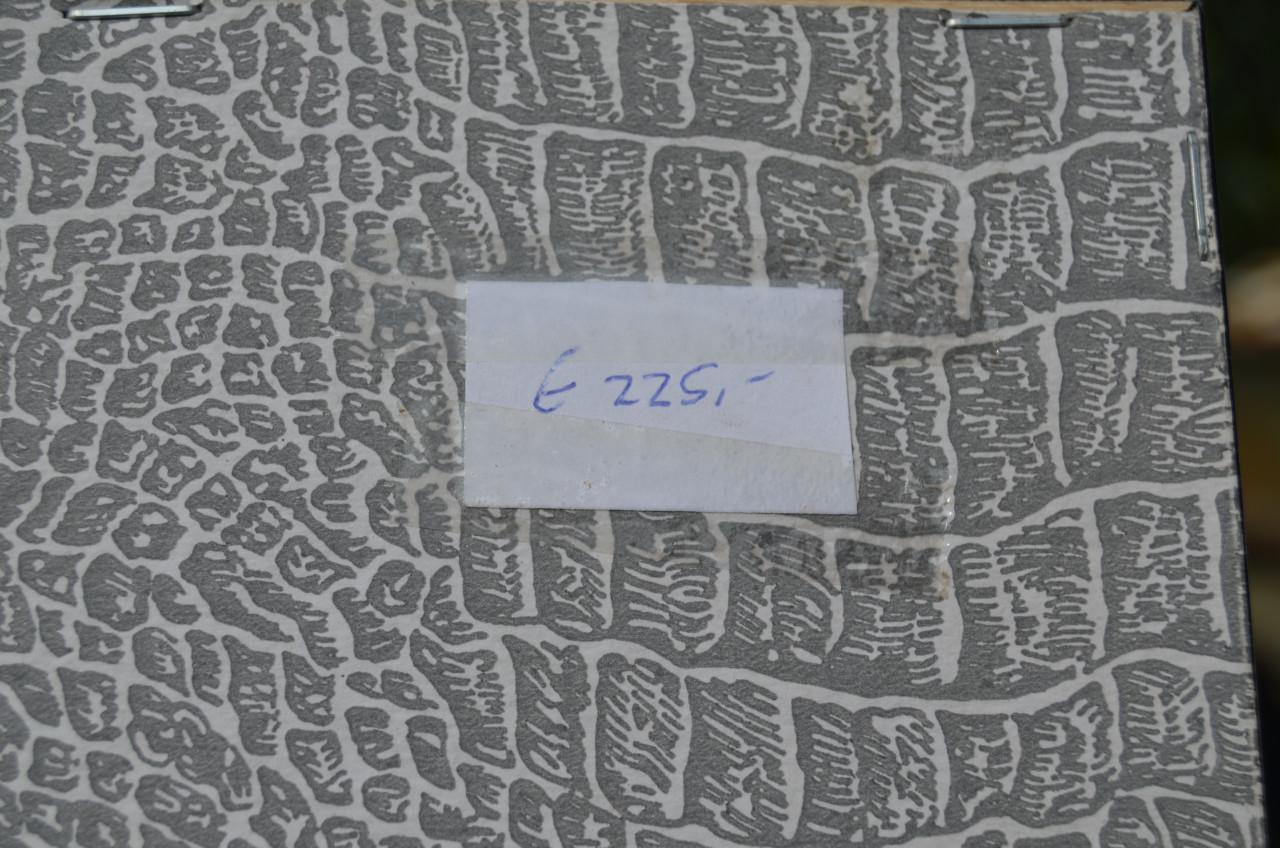 Fraaie Franse kopergravure Den Bosch 1743