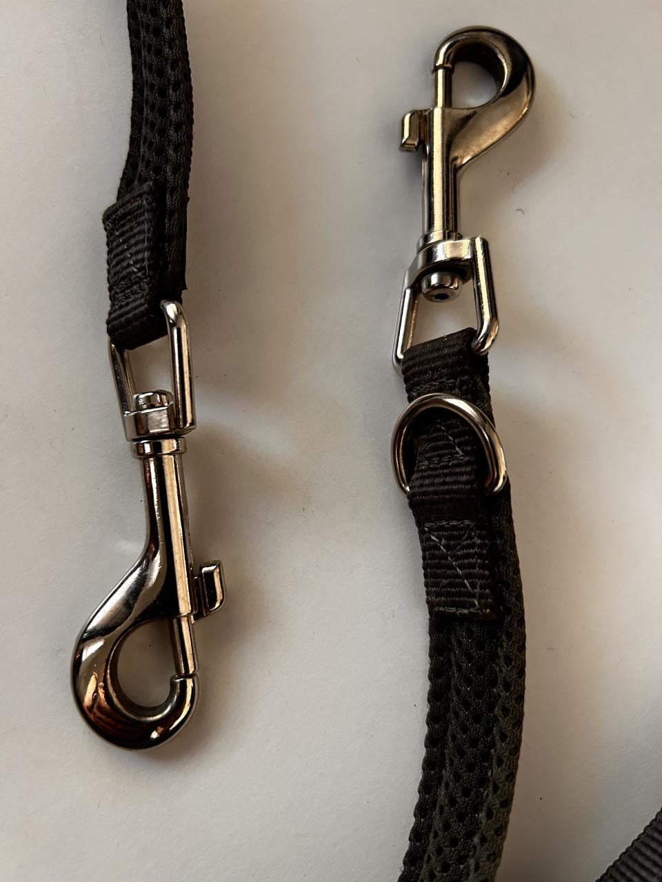 Riem hond Hunter