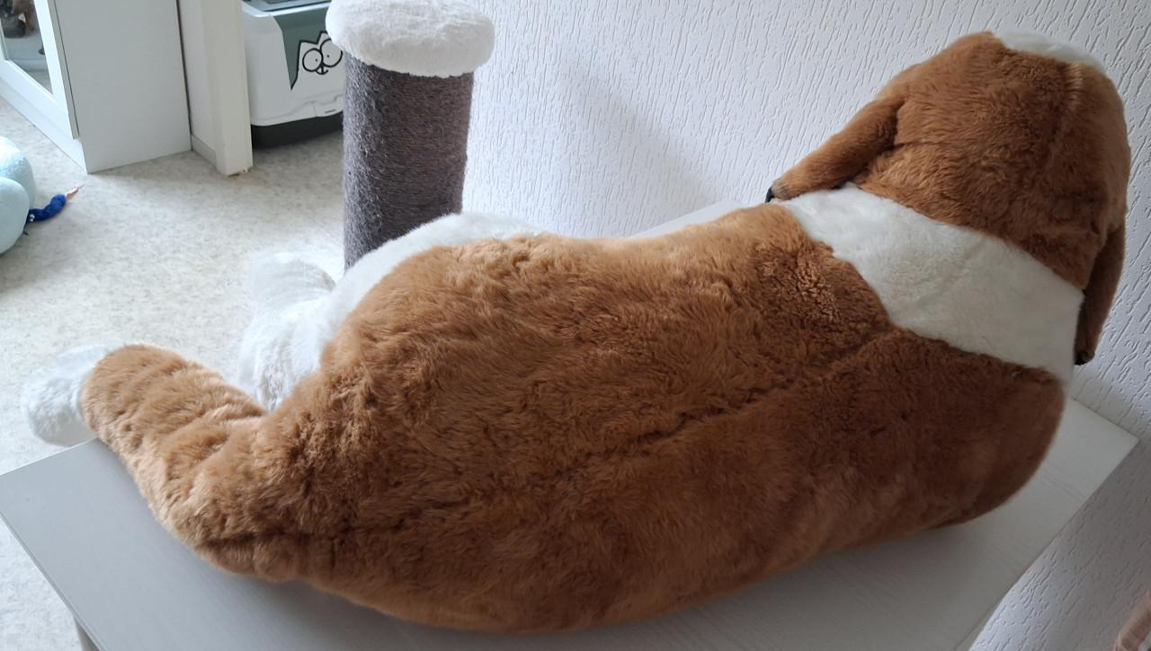 Zeldzame Sint Bernard Happy Bear knuffel XXL