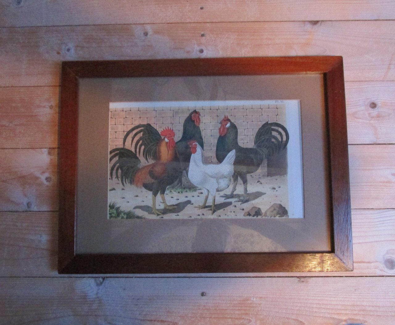 Houtenlijst met kippen/ hanen prent achter glas afm:50x37cm.