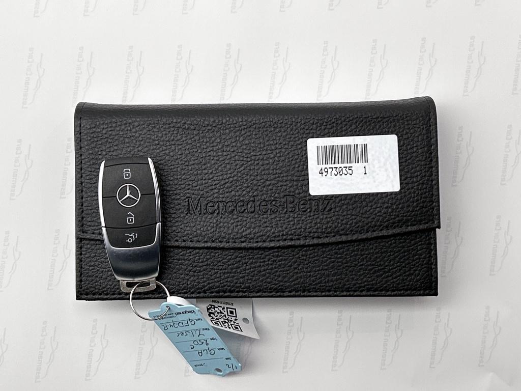 Mercedes-Benz Gla-klasse 250 e business line | stoelverwarming | elektrisch