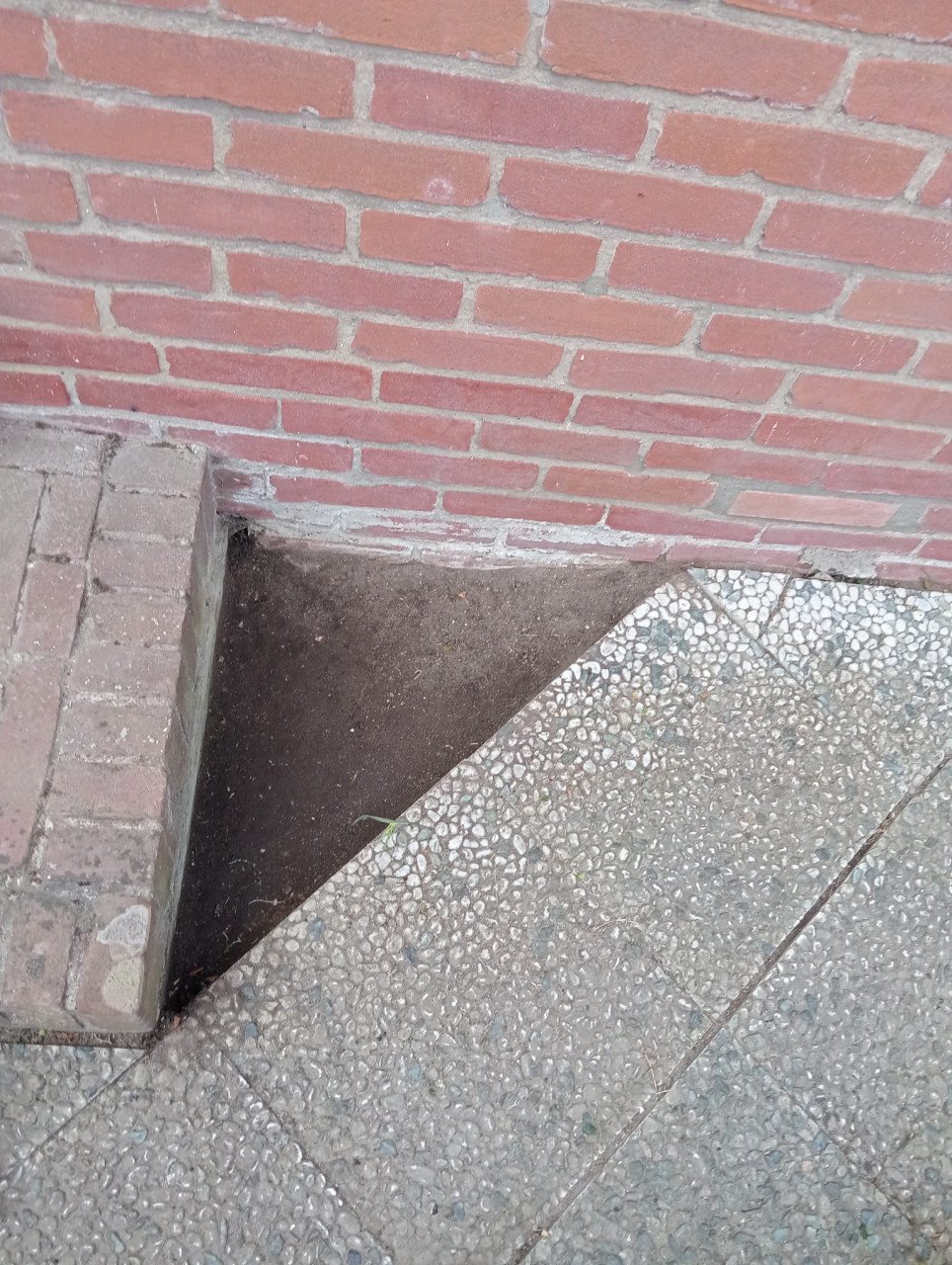 Tuinman nodig? Ben Beschikbaar!