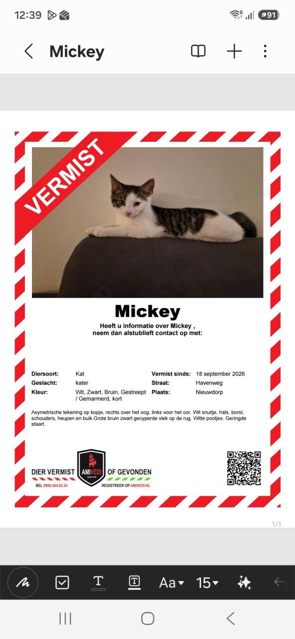 Vermist Mickey onze kater  wie heeft hem gezien .?