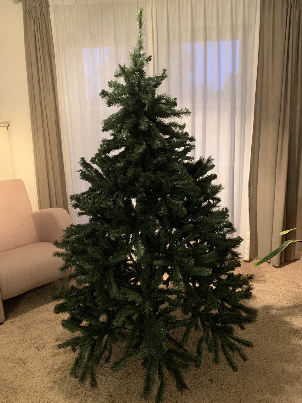 Kerstboom