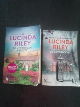 Lucinda Riley De verborgen belofte en de zilverboom