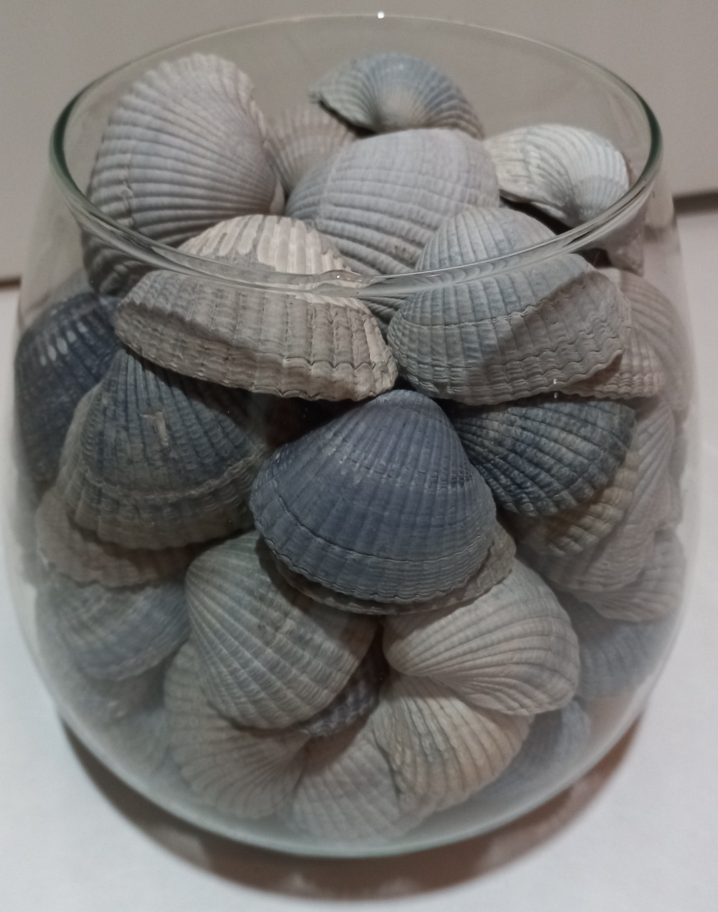 Schelpen in glas
