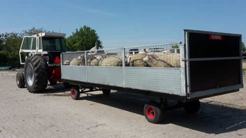 Te koop: grote schapenkar voor achter trekker