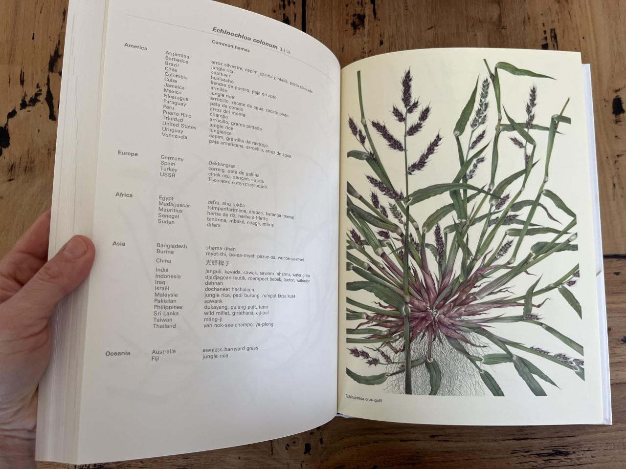 3 naslagwerken over onkruiden