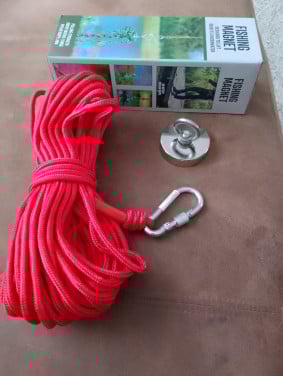 Vis magneet