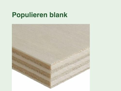Populieren plaat blank 15mm camperbouw 122x250