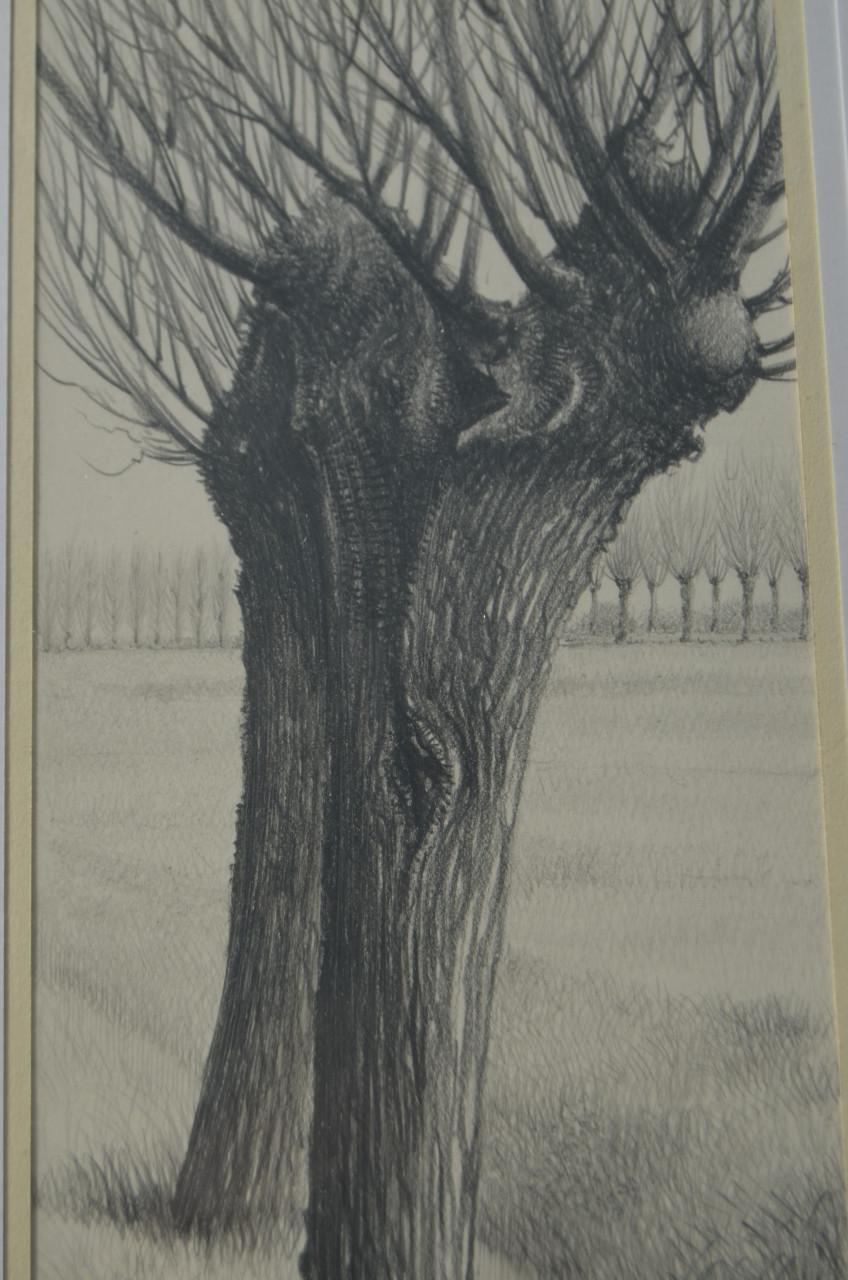 10 x Hendrik Voskuijl (1893 - 1980) potloodtek. bomen (2) o.a. Ommen