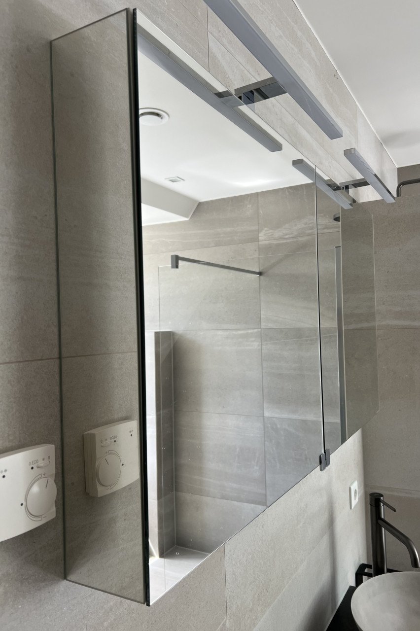 Spiegelkast badkamer Detremmerie