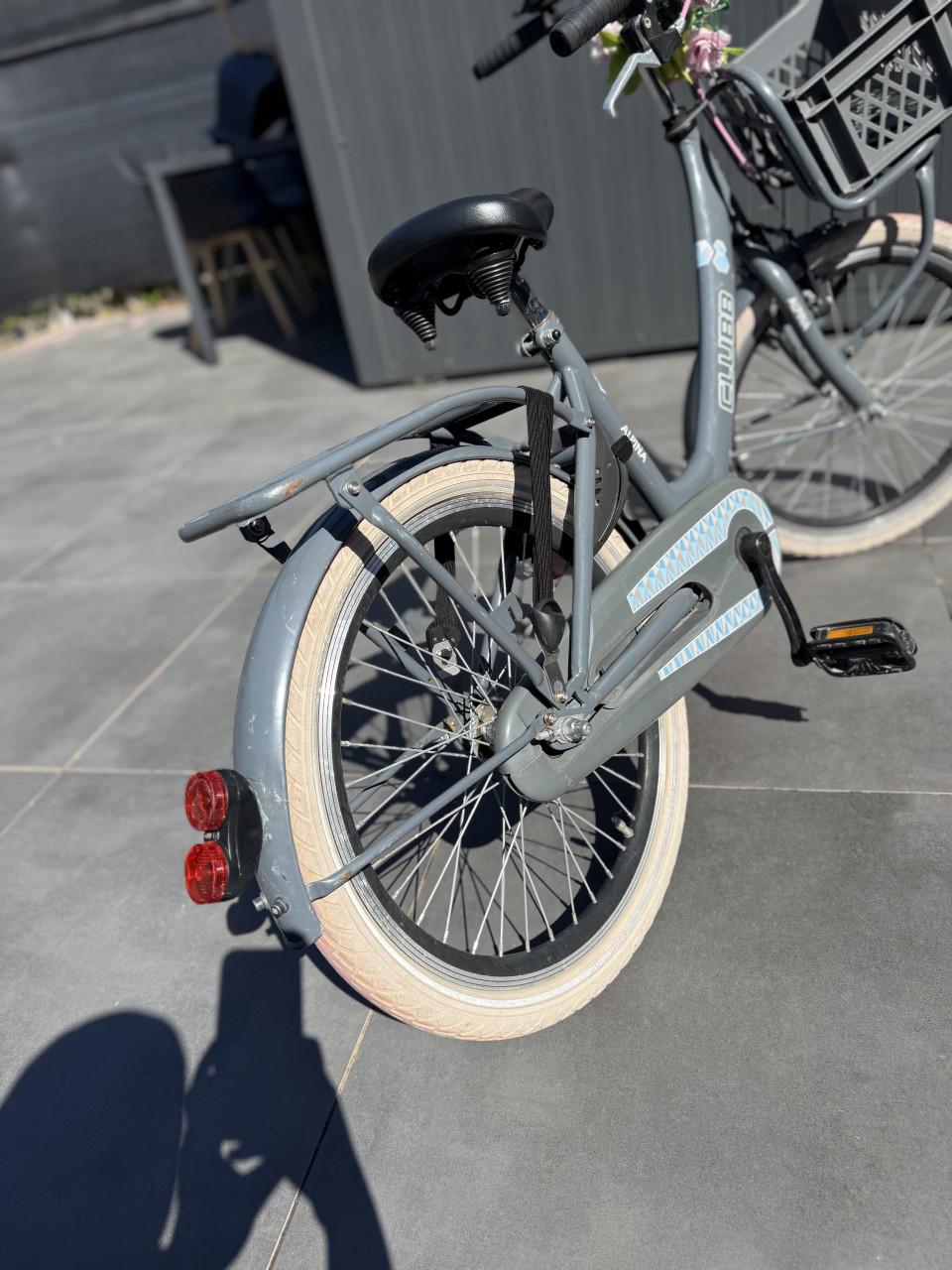 Meisjes fiets 20 inch