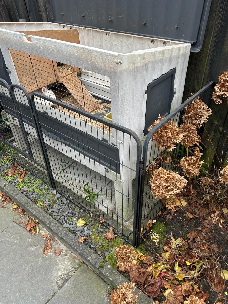 Konijn incl hok en ren