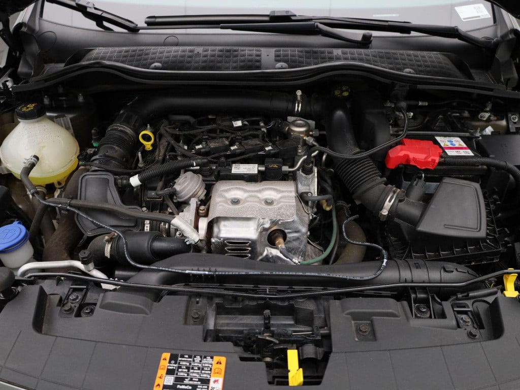 Ford Fiesta 1.0 ecoboost active | climate control | cruise control | winter