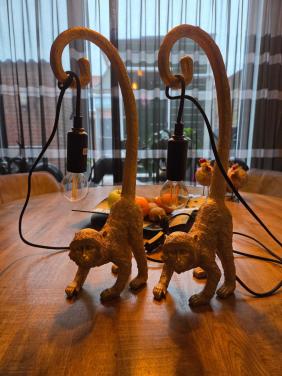 2 X leuke 🙊 Lampjes