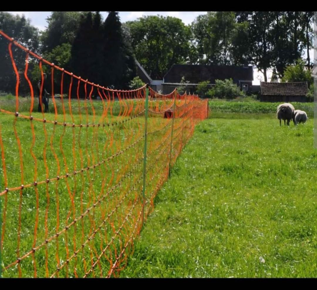 Afrastering/schapennet