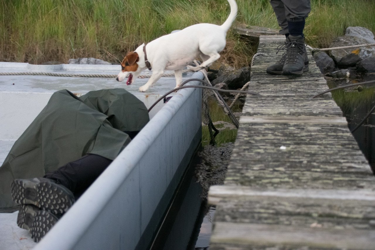 Jubileumlezing NEUSWERK van de hond